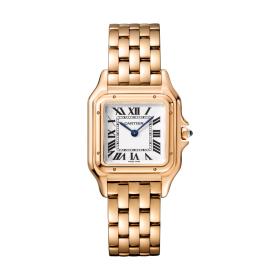 Cartier Panthère de Cartier WGPN0007