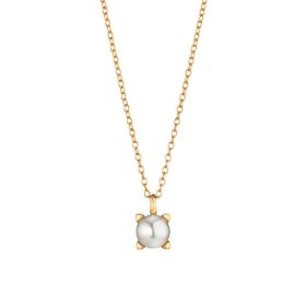 Gellner Delight Collier 5-24453-03