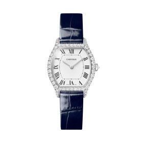 Cartier Tortue WJTO0014