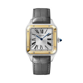 Cartier Santos-Dumont W2SA0046