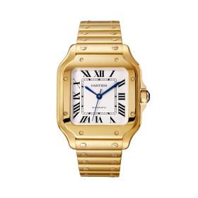 Cartier Santos de Cartier WGSA0030