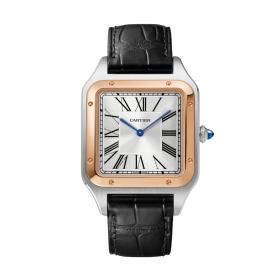 Cartier Santos-Dumont W2SA0017