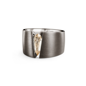 Schaffrath THE ONE Herrenring 218_T-ONE_120_SC_BWB