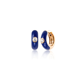 Adolfo Courrier Pair of Earrings PXE-DB-44