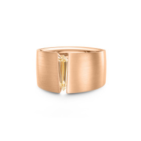 Schaffrath THE ONE Herrenring 758_T-ONE_80_SKC_RB