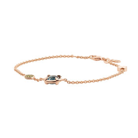 Bron Mira Mira Armband 8AR4013TLRIBRTS