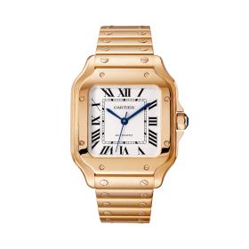 Cartier Santos de Cartier WGSA0031