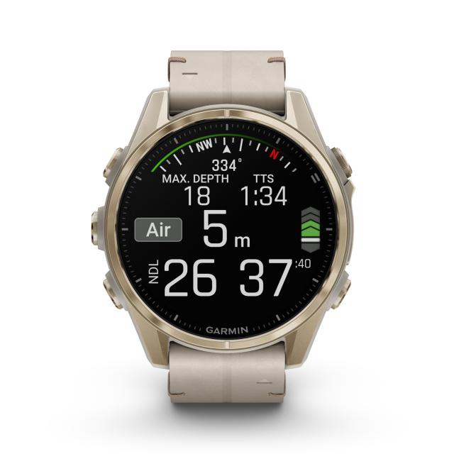 Garmin - fēnix® 8 – 43 mm, AMOLED