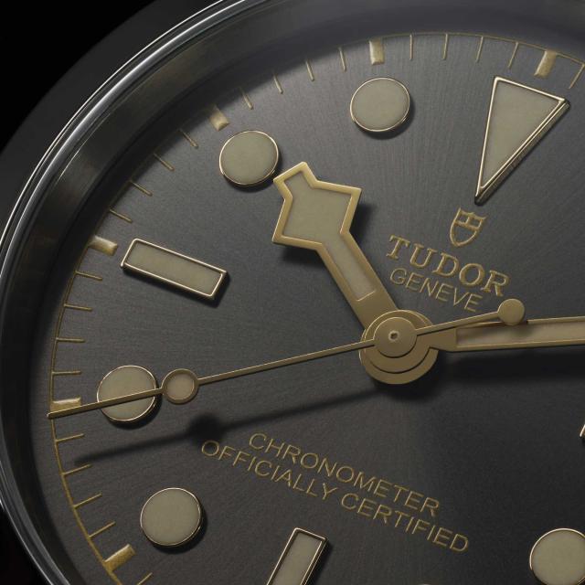 Tudor - Black Bay 31