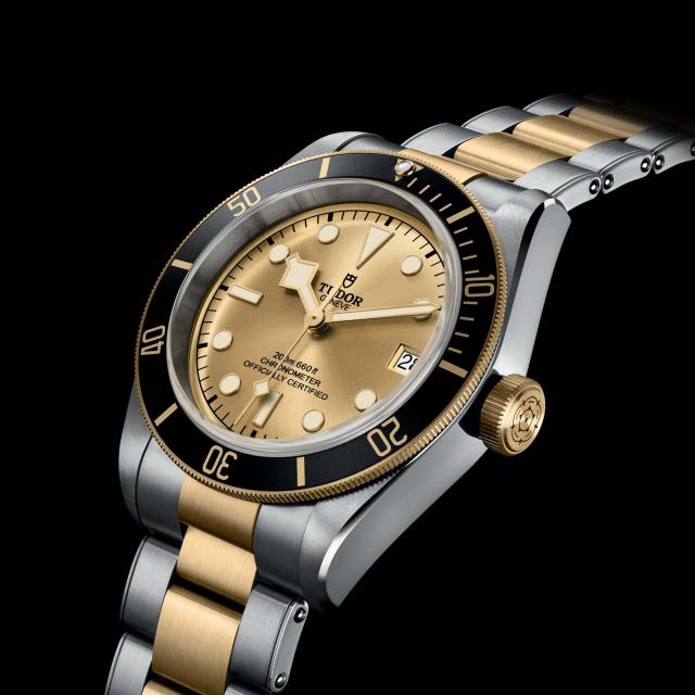 Tudor - Black Bay S&G