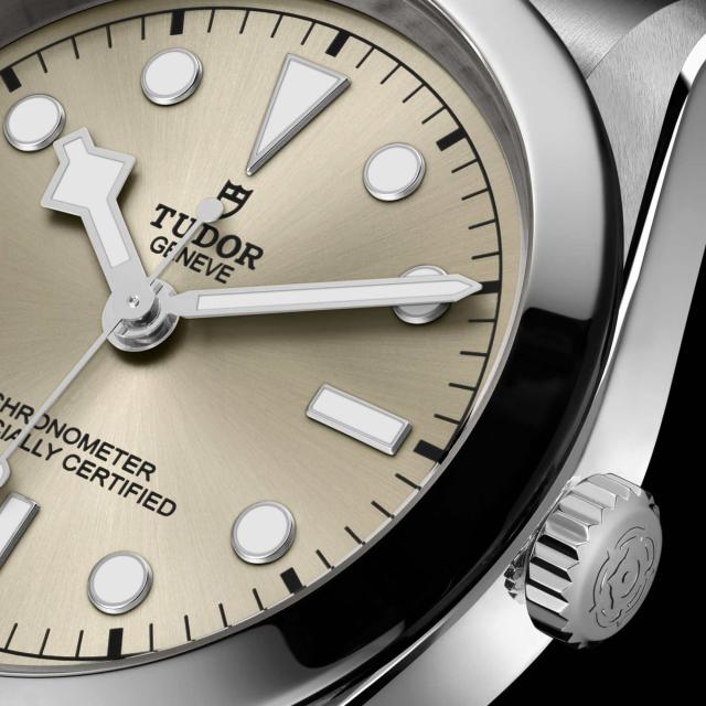 Tudor - Black Bay 31