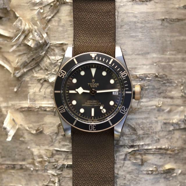 Tudor - Black Bay S&G