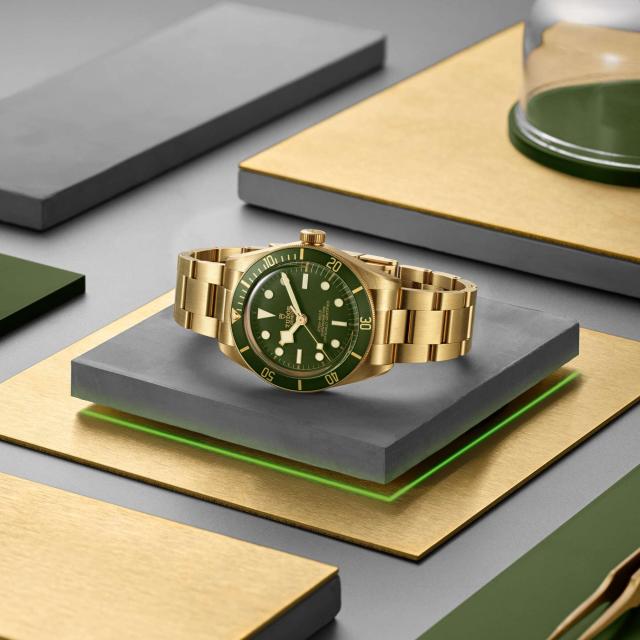 Tudor - Black Bay 58 18K