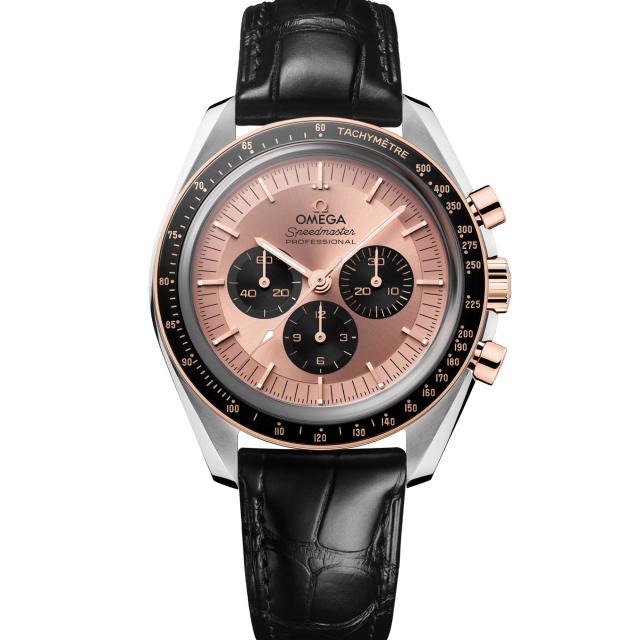 Omega - Speedmaster Moonwatch Professional