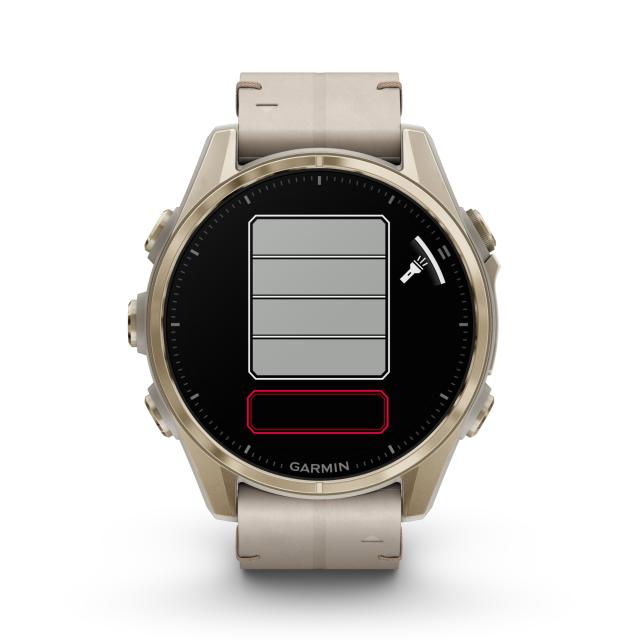 Garmin - fēnix® 8 – 43 mm, AMOLED